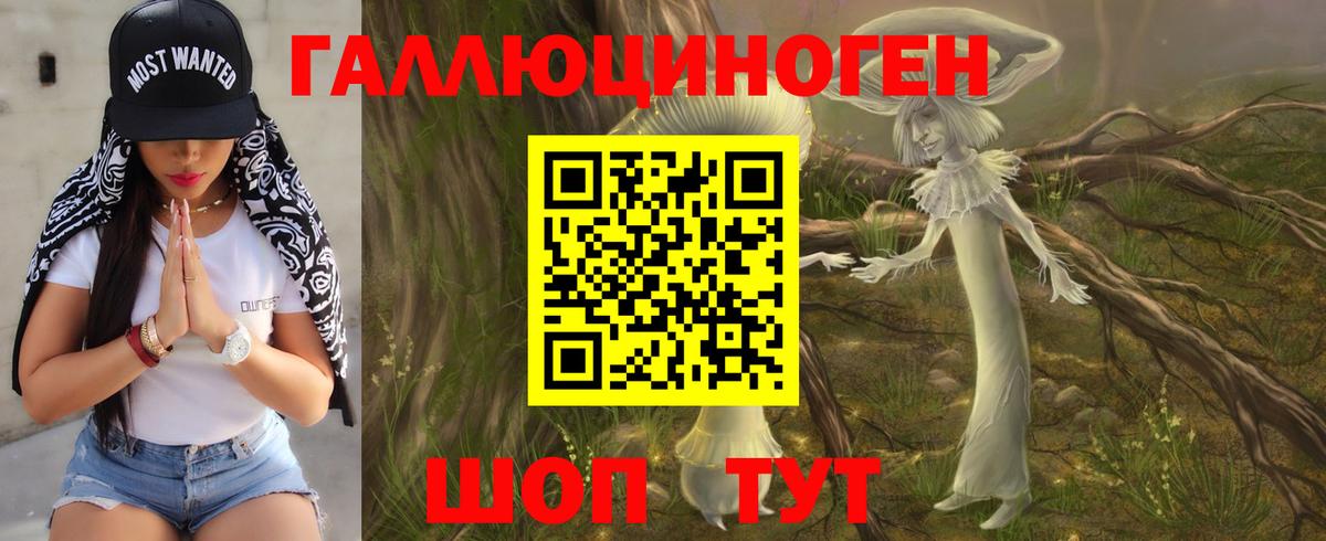 Галлюциногенные грибы ЛСД  купить наркотик  Кингисепп  Вход с VPN 